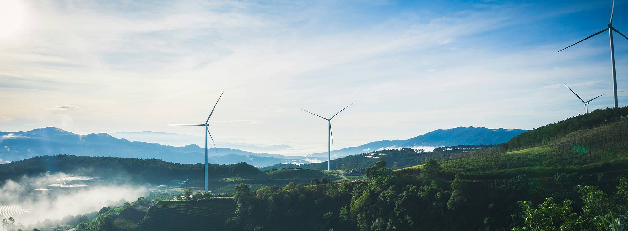 Prospection foncière : sites pour production éléctrique et projets photovoltaïques, éoliens.
