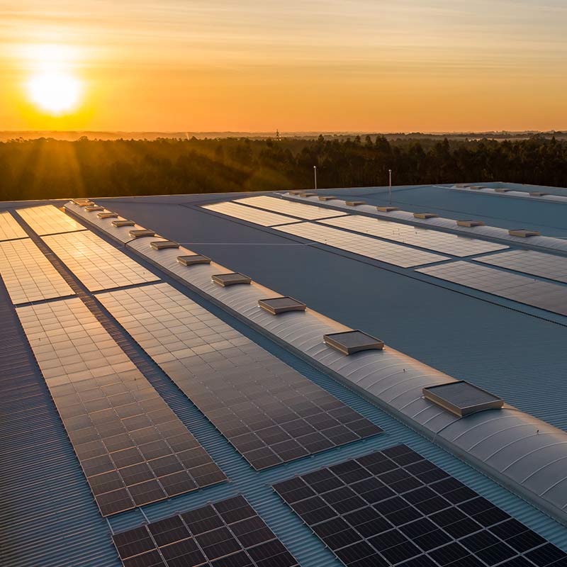 Témoignages et avis sur le logiciel Promolead.